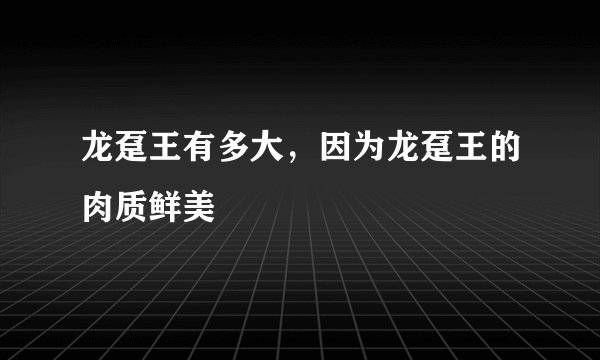 龙趸王有多大，因为龙趸王的肉质鲜美