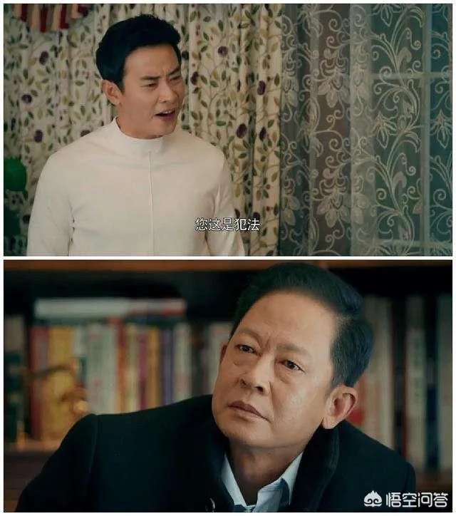 你怎么看电视剧《归去来》中王志文扮演的书望?