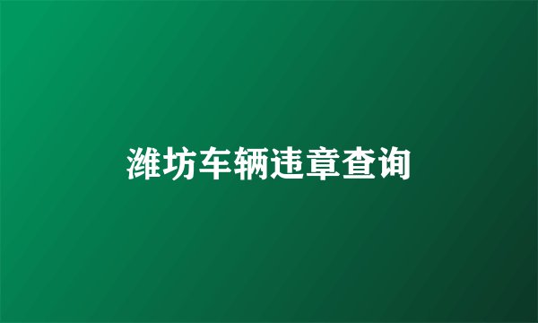 潍坊车辆违章查询