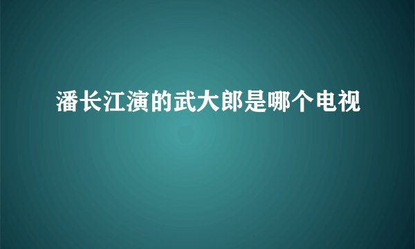 潘长江演的武大郎是哪个电视
