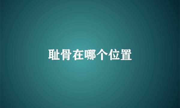 耻骨在哪个位置