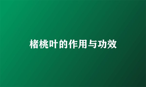 楮桃叶的作用与功效