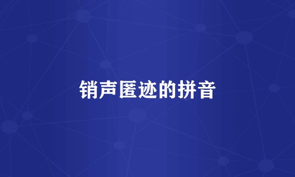 销声匿迹的拼音