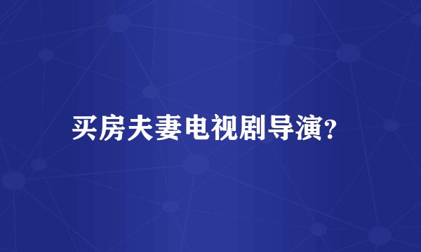 买房夫妻电视剧导演？