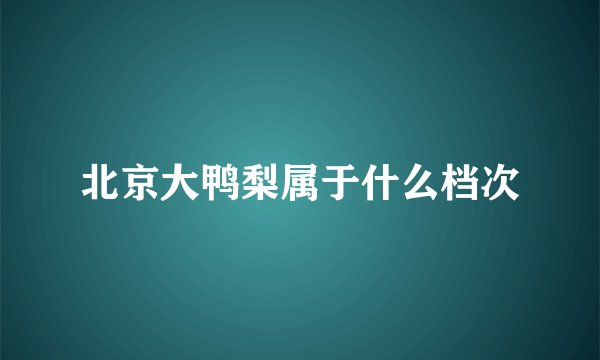 北京大鸭梨属于什么档次