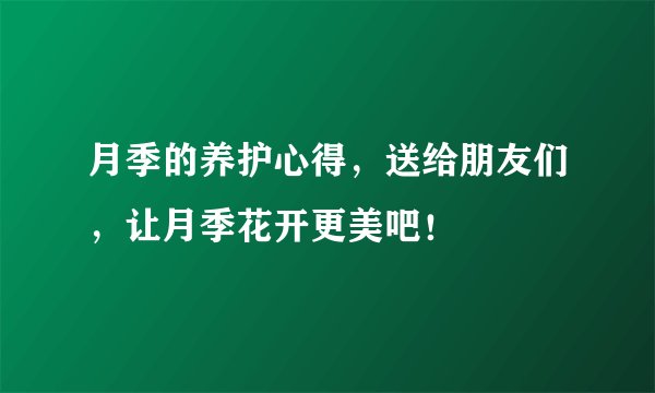 月季的养护心得，送给朋友们，让月季花开更美吧！