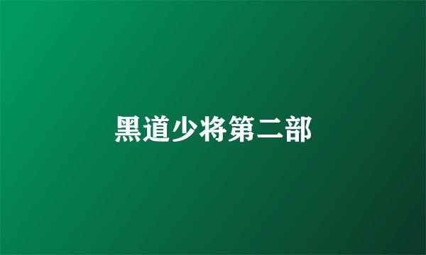 黑道少将第二部