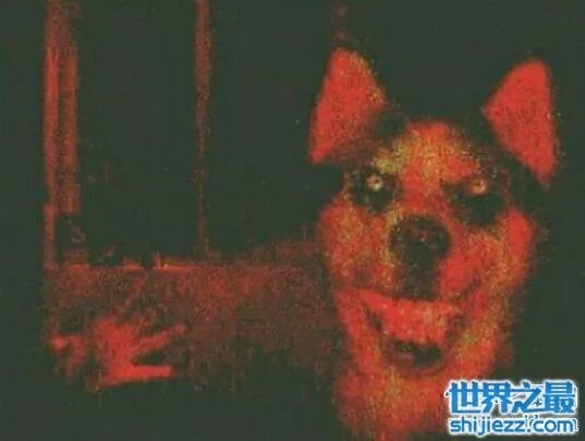 微笑狗恐怖原图,灵异的smile.jpg其实是ps出来的