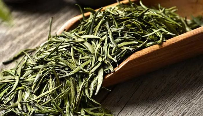 信阳毛尖是绿茶吗 信阳毛尖是不是绿茶
