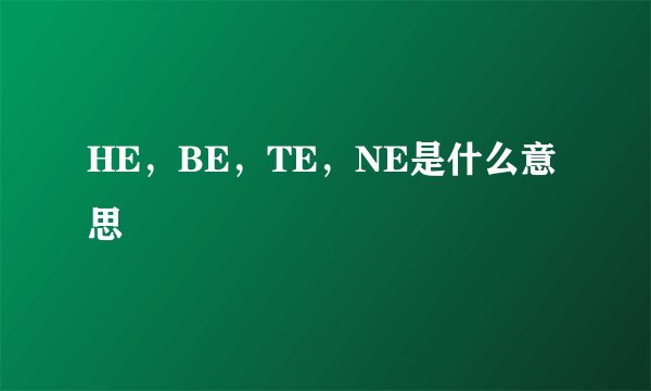 HE，BE，TE，NE是什么意思