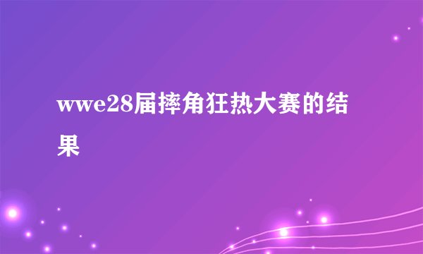wwe28届摔角狂热大赛的结果