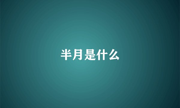 半月是什么