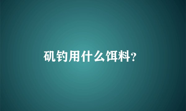 矶钓用什么饵料?
