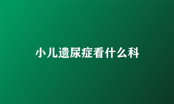 小儿遗尿症看什么科
