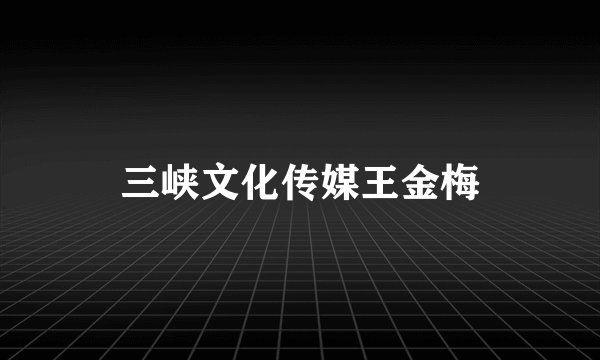 三峡文化传媒王金梅