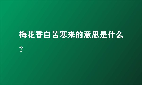 梅花香自苦寒来的意思是什么？