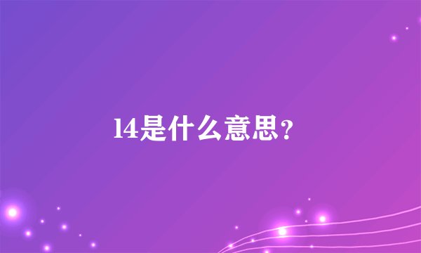l4是什么意思？