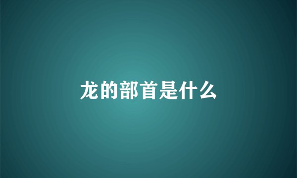 龙的部首是什么