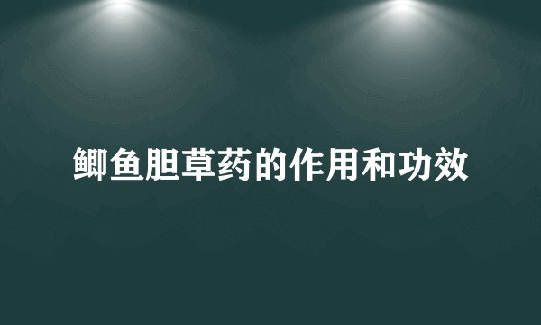 鲫鱼胆草药的作用和功效