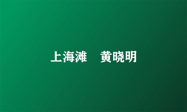 上海滩 黄晓明