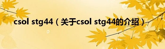 csol stg44（关于csol stg44的介绍）