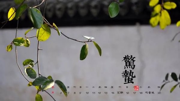 惊蛰怎么读
