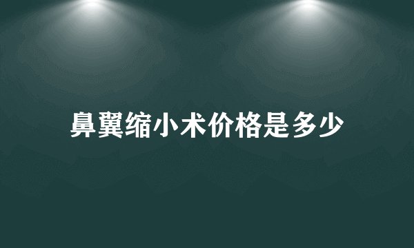 鼻翼缩小术价格是多少
