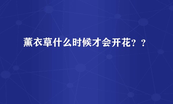 薰衣草什么时候才会开花？？