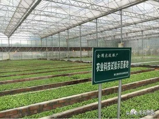 农业科技人才