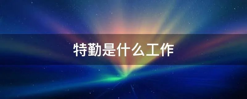 特勤是什么工作