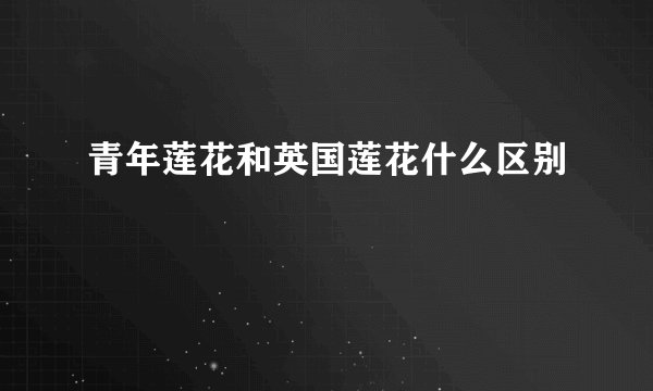 青年莲花和英国莲花什么区别
