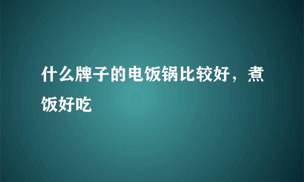 什么牌子的电饭锅比较好，煮饭好吃
