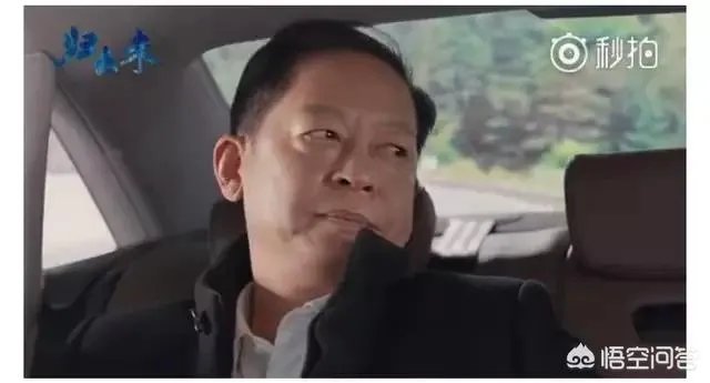 你怎么看电视剧《归去来》中王志文扮演的书望?