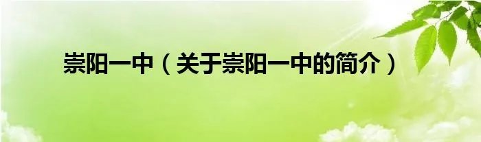 崇阳一中（关于崇阳一中的简介）