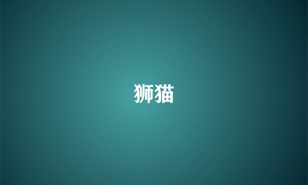 狮猫