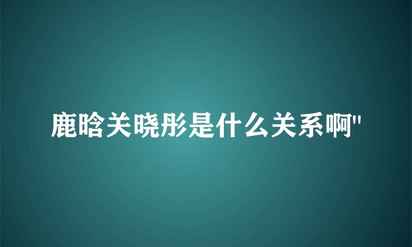 鹿晗关晓彤是什么关系啊