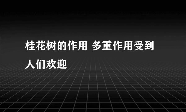 桂花树的作用 多重作用受到人们欢迎