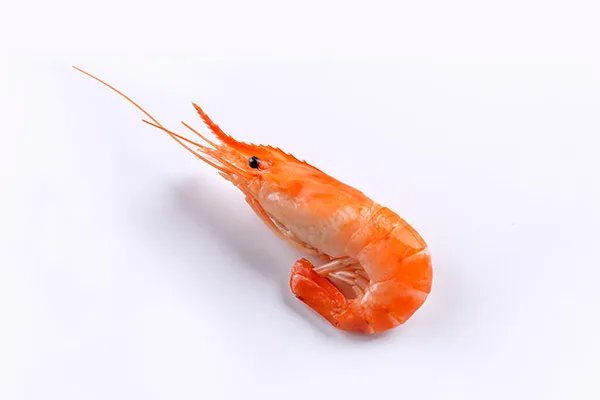 吃虾的好处