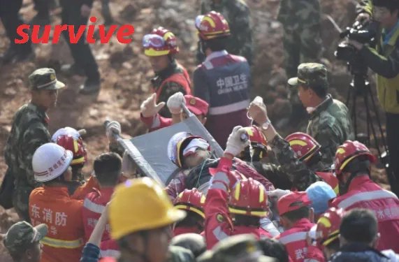 survive什么意思