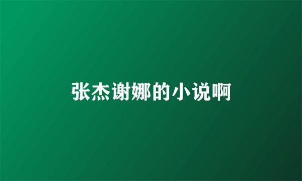 张杰谢娜的小说啊