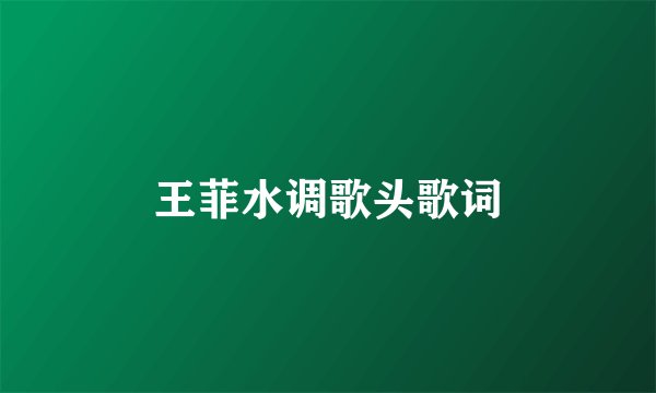 王菲水调歌头歌词