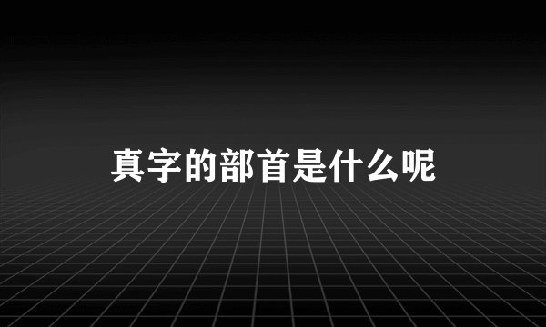 真字的部首是什么呢