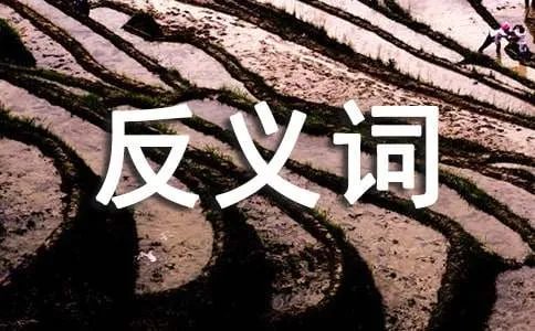 无私的反义词