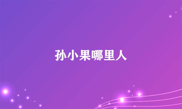 孙小果哪里人