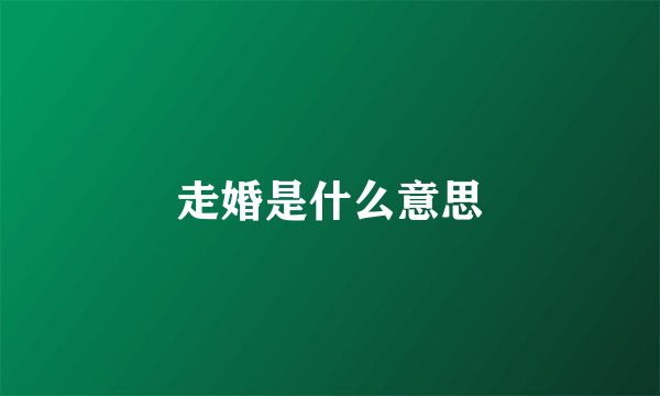走婚是什么意思