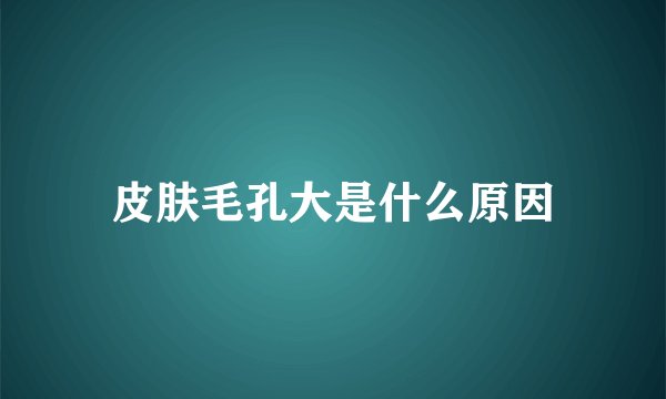 皮肤毛孔大是什么原因