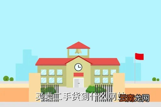 二手网官网网址，巴西B2B网站有哪些