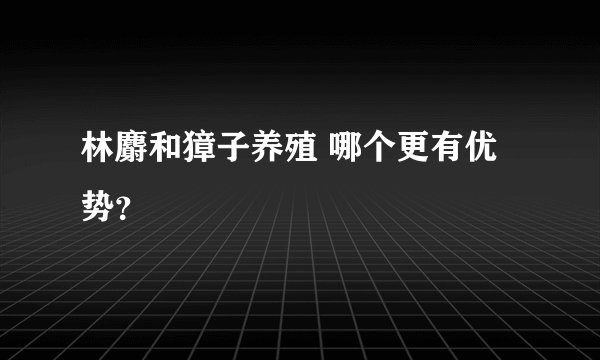 林麝和獐子养殖 哪个更有优势？