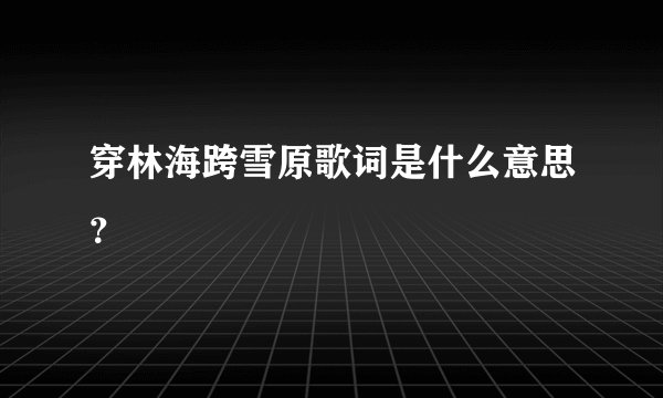 穿林海跨雪原歌词是什么意思？