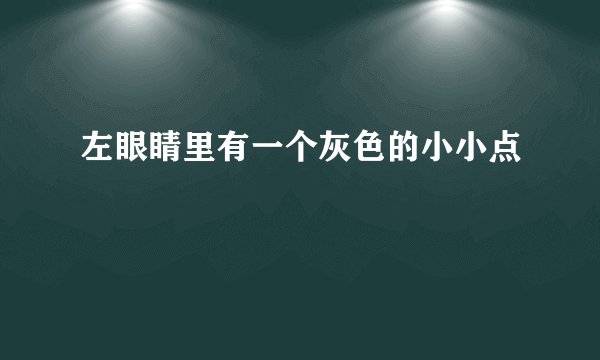 左眼睛里有一个灰色的小小点